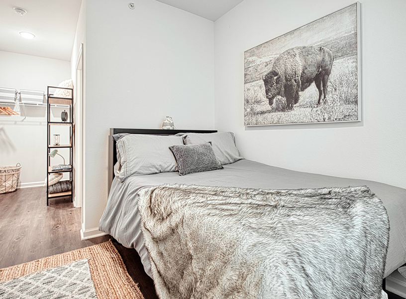 Bedroom with Photo of Buffalo